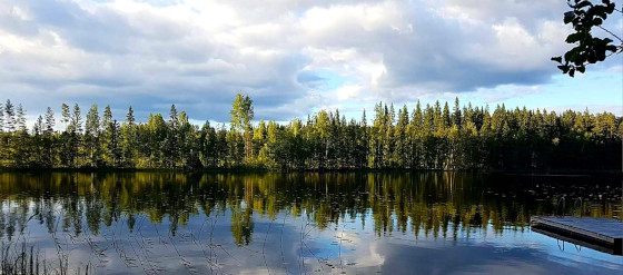 Hyvää juhannusta